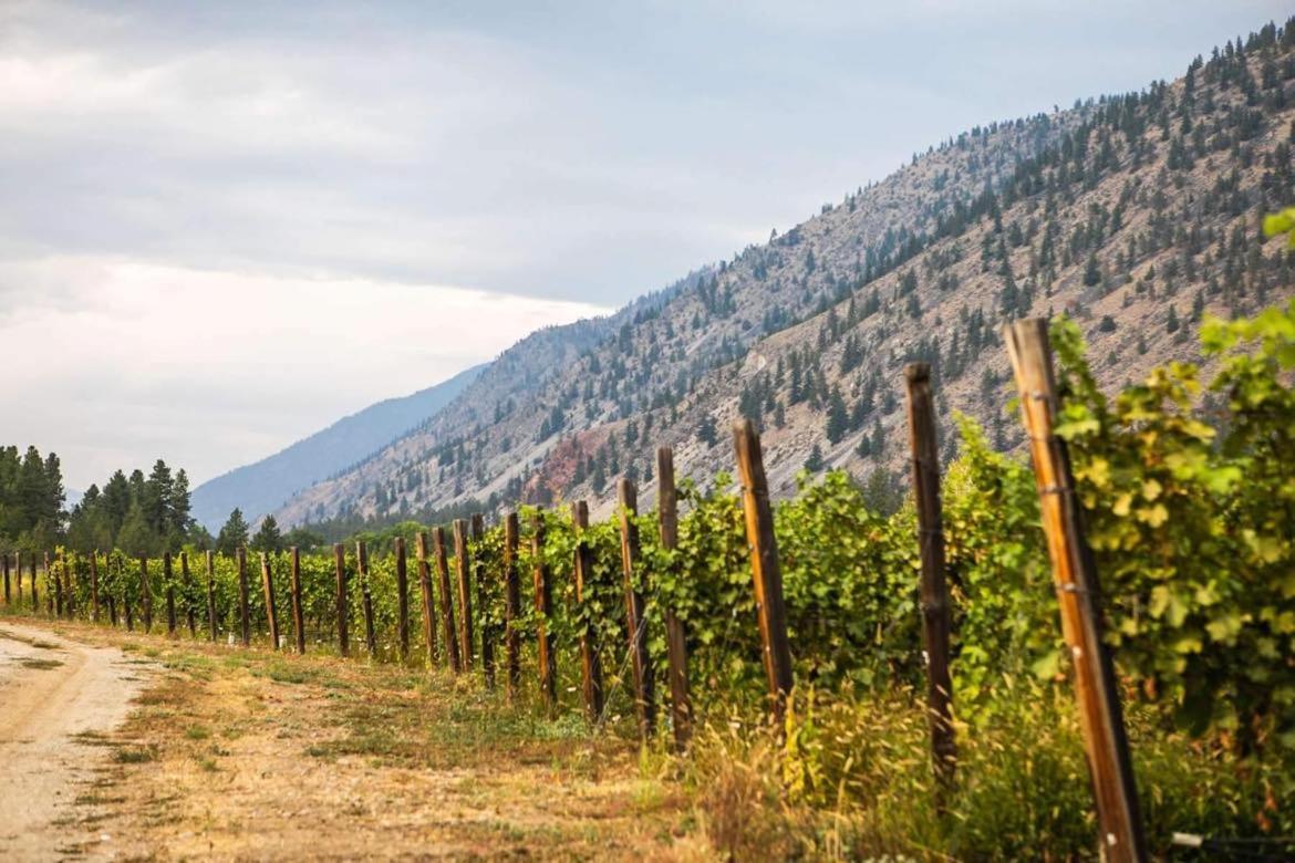 Similkameen Wild Resort & Winery Retreat Osoyoos Zewnętrze zdjęcie